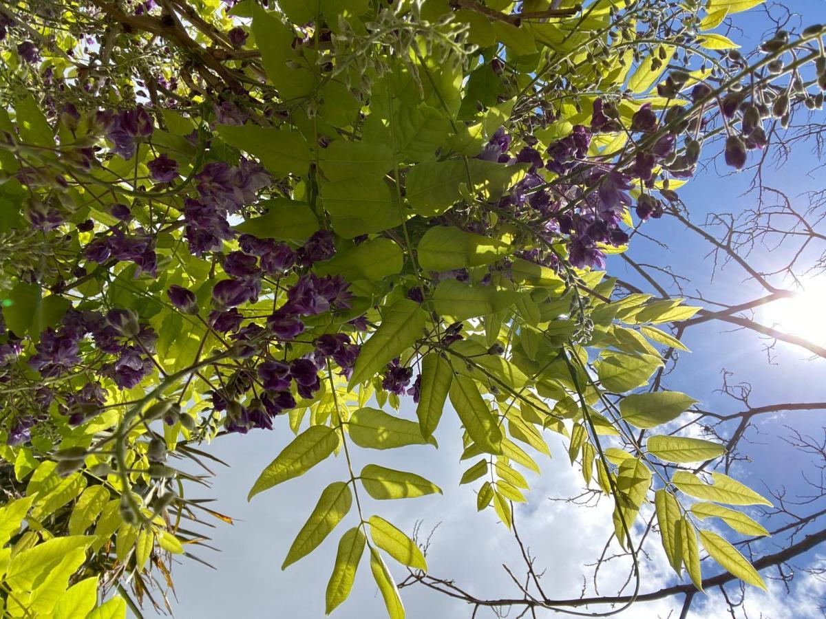 مبيت وإفطار كروزون A Pors Haor المظهر الخارجي الصورة